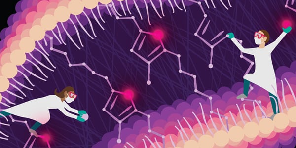 Illustration depicting scientists putting together furan fatty acids in a cell membrane